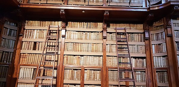 Bücherwand mit Leitern / Wooden bookcase with ladders ★ Universal Art Group